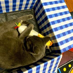 Meet your Posher, Arabella